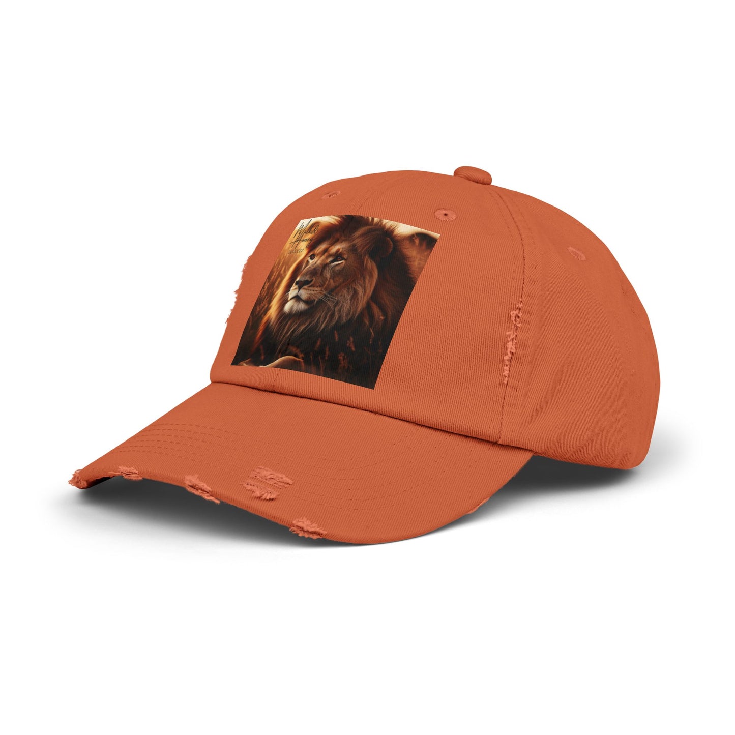 Branded Distressed Cap