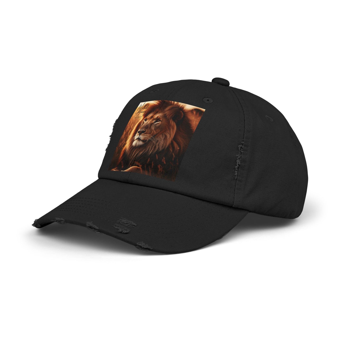Branded Distressed Cap