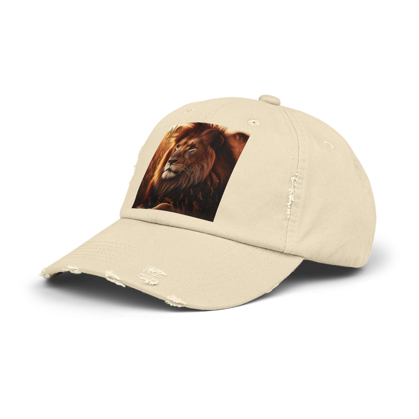 Branded Distressed Cap